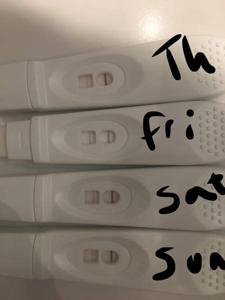 TTC #2 (September BFPs)