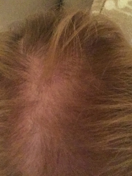 Between bootcamps support thread Summer17