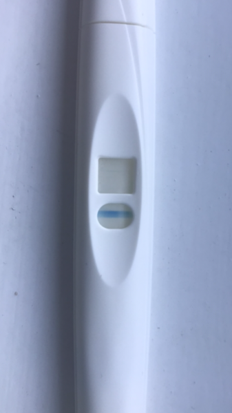 What is this!?!