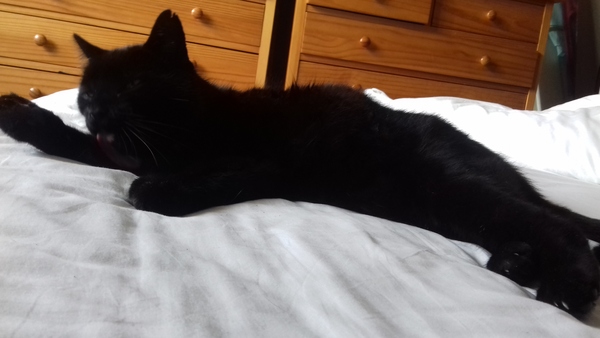 Frugaleering, cakes and baby talk