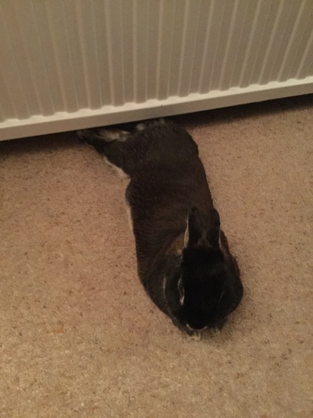 To put the heating on?