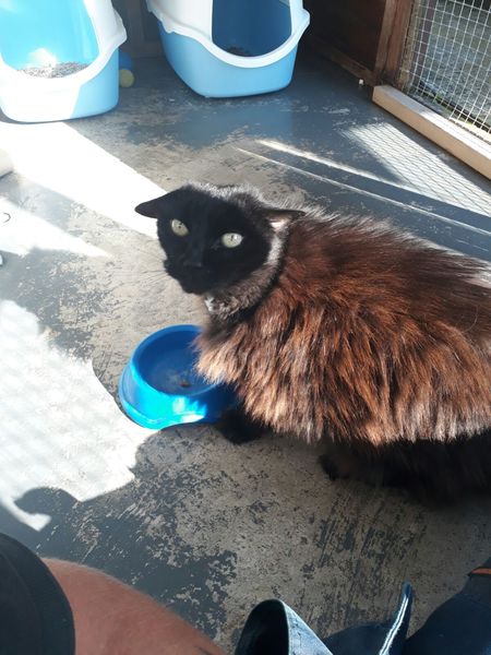 So I went to the adoption centre