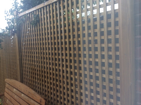 Tricky neighbour situation in the garden