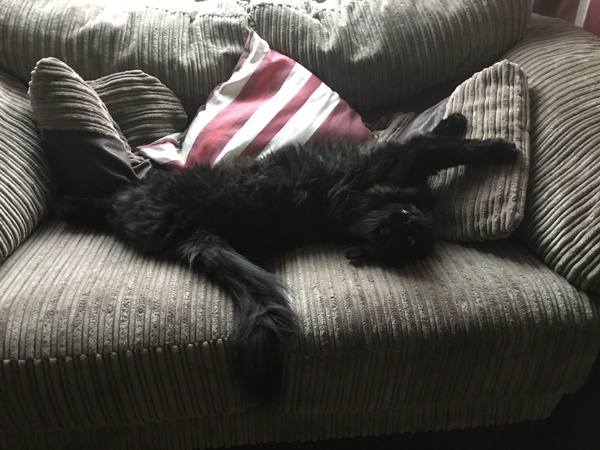 Leroy