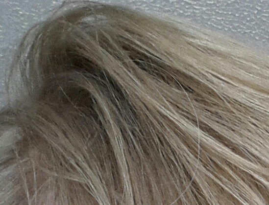 In your opinion, is this blonde or brown hair?