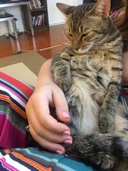 Can cats love you?