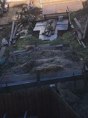 In the dim corner, we have Trump! In the dictator corner, we have Kim! Or is that mixed up?