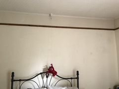 Damp occuring after a damp proof course
