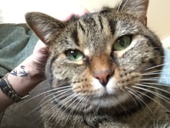 Frugaleers Still Saving  into September