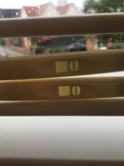 Tesco pregnancy tests