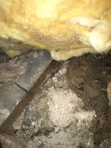 Wet patch on bedroom and bathroom ceiling. Help!!