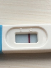 Any mid-sept testers?