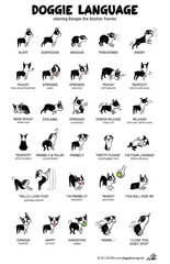 Inheriting a dog