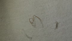 Look what I just pulled out of my chin