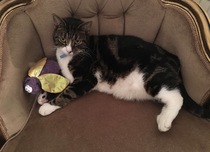 Facebook Live with Dermot O'Leary: Monday 25 September, 1pm