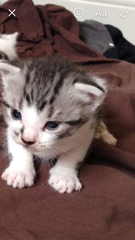 New baby!!!!! Name suggestions please?