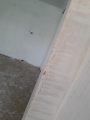 Help! Painting plaster and bad advice from builder.....