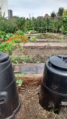 Allotment?Veg Patch Thread 10 - Plotmenters  busy into summer ! and loving James Wong