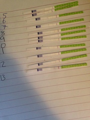 Opk chart and donation help please