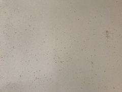 Damp occuring after a damp proof course