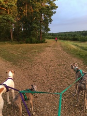Running thread part 10