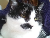 Facebook Live with Dermot O'Leary: Monday 25 September, 1pm