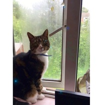 Facebook Live with Dermot O'Leary: Monday 25 September, 1pm