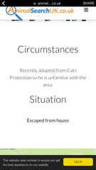 Missing poorly cat in Shoreham
