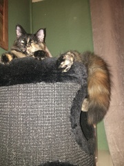 Facebook Live with Dermot O'Leary: Monday 25 September, 1pm