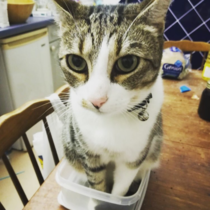 Facebook Live with Dermot O'Leary: Monday 25 September, 1pm