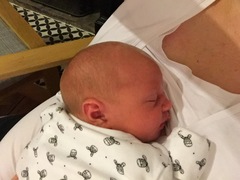 Could someone name my daughter please? (Pic)