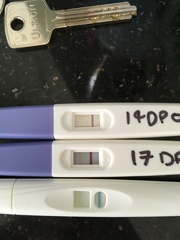 Are these test results a chemical pregnancy?