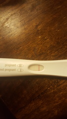 TTC #2 (September BFPs)