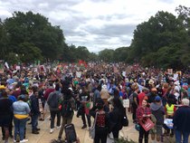 Hello Don, got a new tax cut? Trump continued