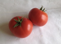 Allotment?Veg Patch Thread 10 - Plotmenters  busy into summer ! and loving James Wong