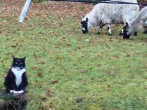 Facebook Live with Dermot O'Leary: Monday 25 September, 1pm