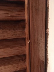 Help - Termites are eating my house
