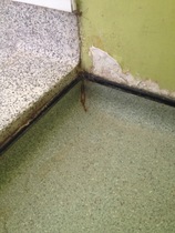 University Accommodation