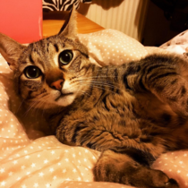 Facebook Live with Dermot O'Leary: Monday 25 September, 1pm