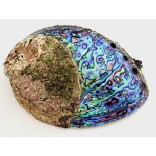 Which cheap fake perals look the nicest?