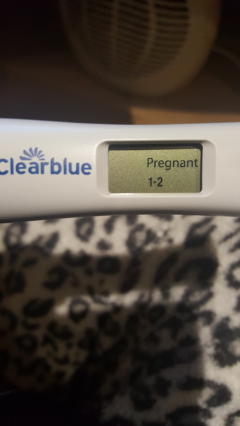 Evaporate line or pregnant?