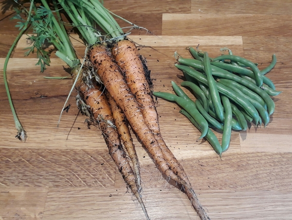 Allotment/Veg patch thread 11 'We bid  farewell to rainbow leaves but will keep plotting along'