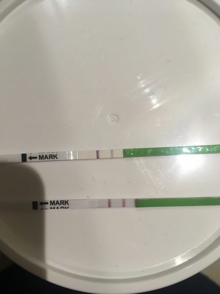 TTC #2 (November BFPs)