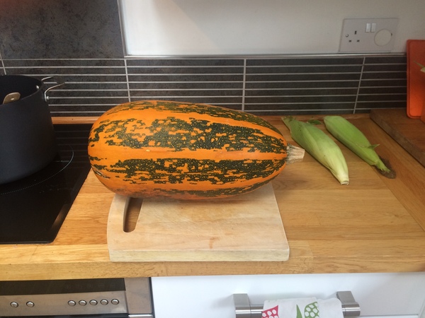 How do I get into this squash?!?!?