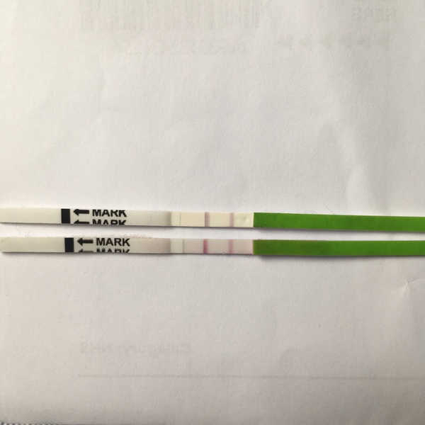 Just to check, theseare positive OPKs right?