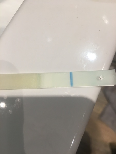 Evap or Bfp?