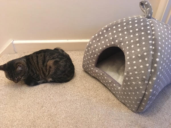 I spent £22 on this...