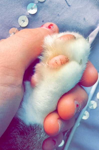 Toe beans!