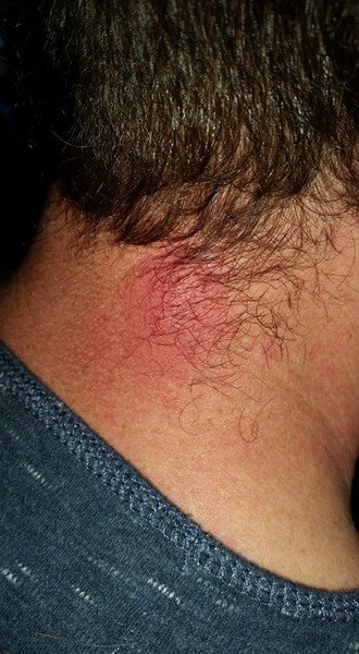 The gods have answered my prayers...