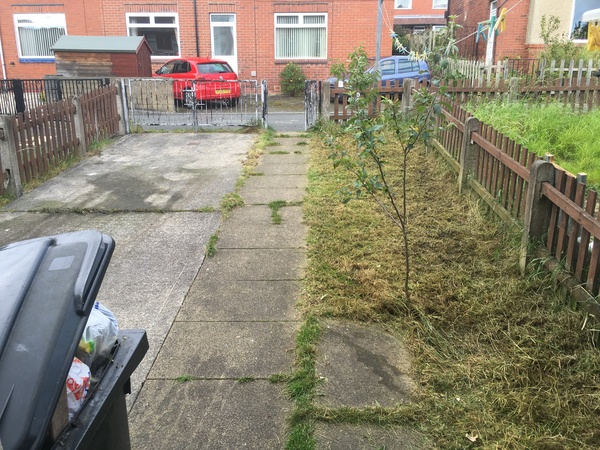 Urgent plea - ideas on dog proofing the garden? (pic)